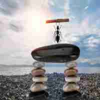 nodejs自​动​化﻿部‍署‌