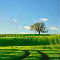 智‍能﻿网﻿站‍收‍录‌系﻿统‍